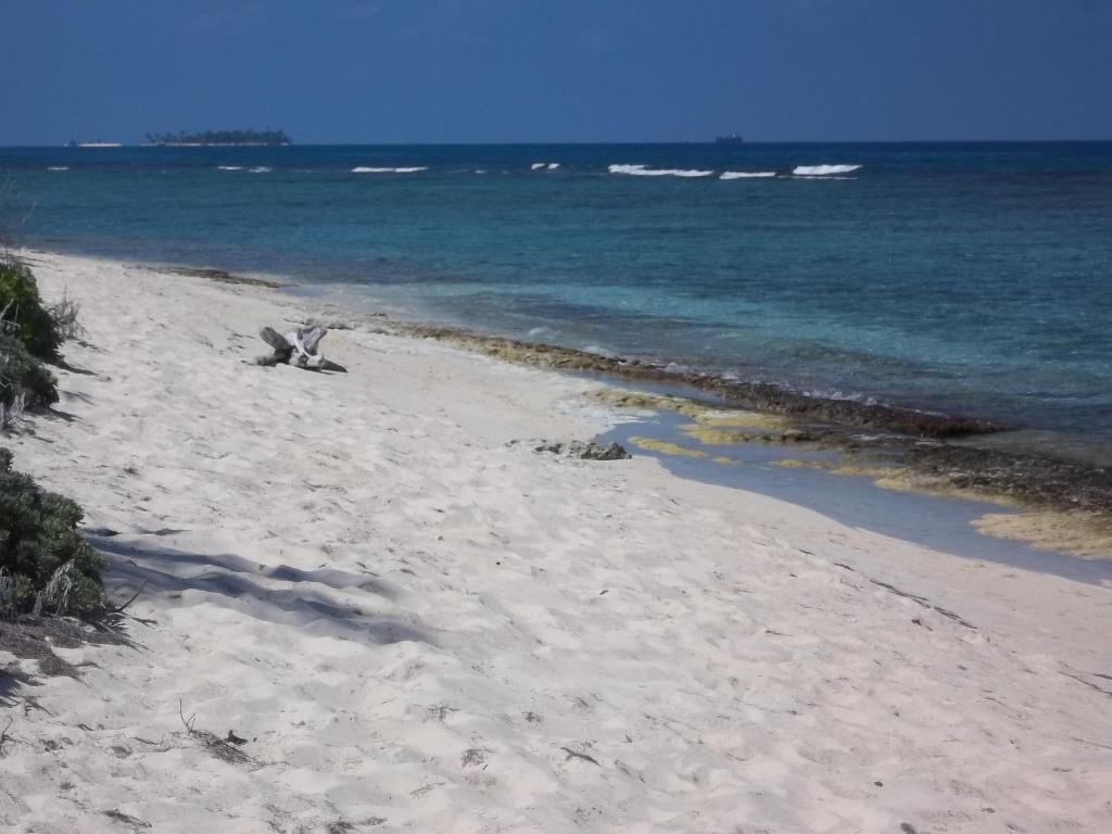 Apartment Sandy's Place San Andres (San Andres and Providencia Islands)